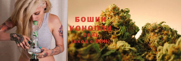 индика Арсеньев