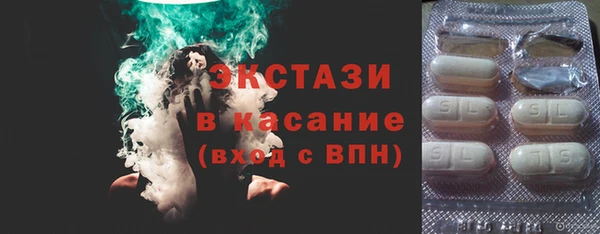 индика Арсеньев