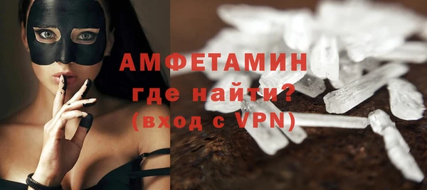 индика Арсеньев