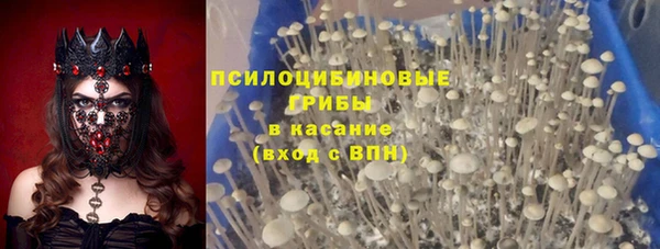 мяу мяу мука Аркадак