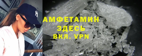 индика Арсеньев